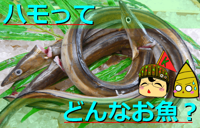 Thumbnail of post image 038